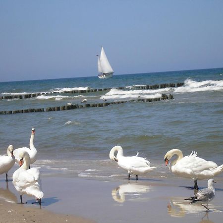 Pensjonat Koga Kolobrzeg Dış mekan fotoğraf